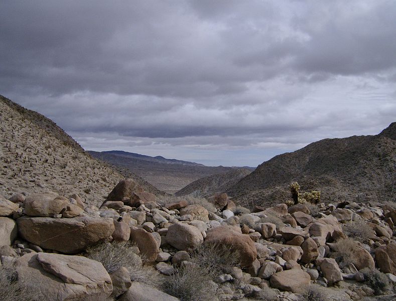 File:Desert landscape in California.jpg