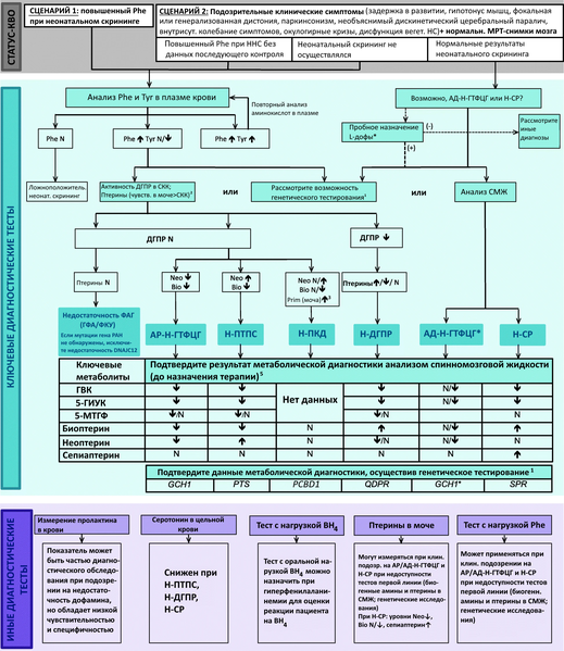 File:Diagnostic flowchart for differential diagnosis of BH4Ds with and without HPA RUSSIAN.png