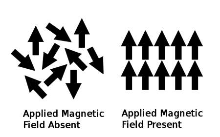 Diagram of Paramagnetic Magnetic Moments.png