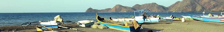 Dili page banner