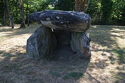 Illustrativt billede af artiklen Pierre levée (Saint-Laurent-sur-Gorre)