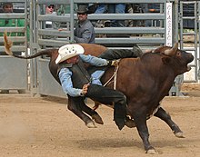 Bull rider at the 2007 Atlantic Stampede, put on by the Atlantic States Gay Rodeo Association Don't let go.jpg