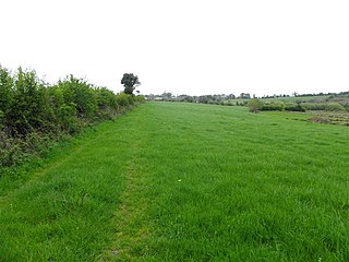 <span class="mw-page-title-main">Drumane</span> Townland in the civil parish of Templeport, County Cavan, Ireland