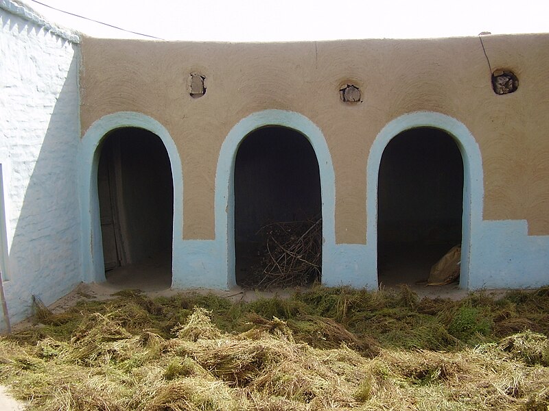 File:Drying Crop in rural Punjabi home.JPG