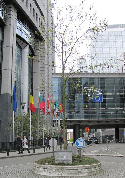 The "lobby tree", planted in 2001 by SEAP, the professional organization of lobbyists, at Wiertzstraat in Brussels, in front of the main entrance of t