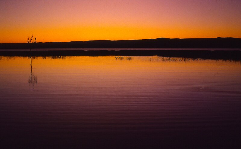 File:Early Morning at Lake Baringo, Rift Valley, Kenya (34004528696).jpg