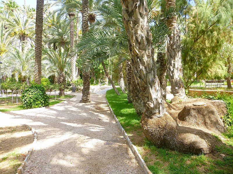 File:Elche - Parque Municipal 01.jpg