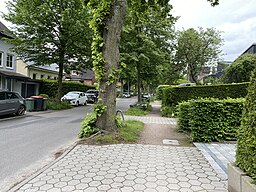 Erlenstraße Hamburg