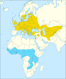 Eurasian reed warbler distribution map.svg