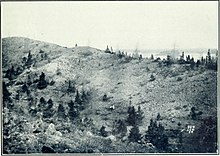 White spruce in the former District of Ungava, dwarfed (note seated human in white for scale, center) Extracts from reports on the district of Ungava, recently added to the province of Quebec under the name of the territory of New Quebec (1915) (14760113996).jpg