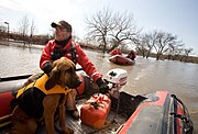 FEMA - 40689 - Valley Water Rescue member, Mike Knorr and search dog, "Barnaby" in North Dakota.jpg