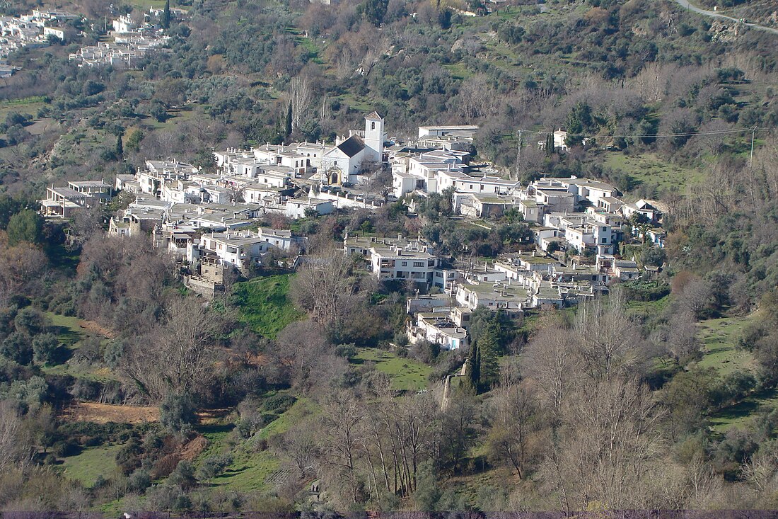 Ferreirola (Granada)