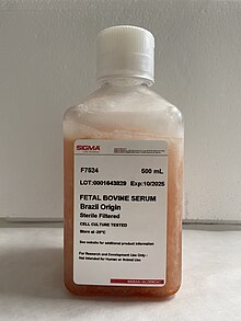 Fetal bovine serum Fetal bovine serum.jpg