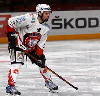 <span class="mw-page-title-main">Viktor Szélig</span> Hungarian ice hockey player