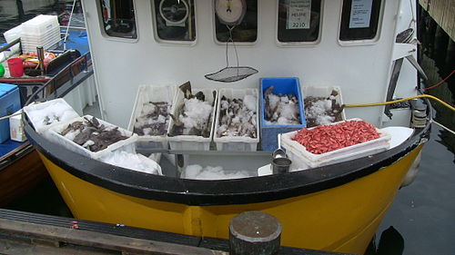 Fish Market in Oslo. Fish is an important part of Norwegian cuisine
