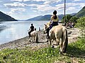 Thumbnail for Norwegian Fjordhorse Center