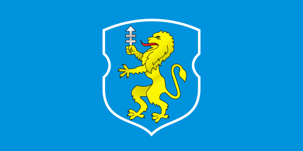 File:Flag of Slonim, Belarus.svg