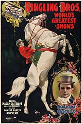 Poster for Ringling Brothers (circa 1899) featuring Madam Ada Castello and her horse, Jupiter Flickr - ...trialsanderrors - Madam Ada Castello and Jupiter, poster for Ringling Brothers, ca. 1899.jpg