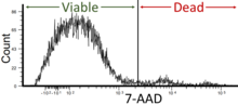 Flow cytometry using 7-Aminoactinomycin D (7-AAD), wherein a lower signal indicates viable cells. Therefore, this case shows good viability (viability of the cells in flow cytometry should be around 95% but not less than 90%. ). Flow cytometric viability by 7-AAD.png