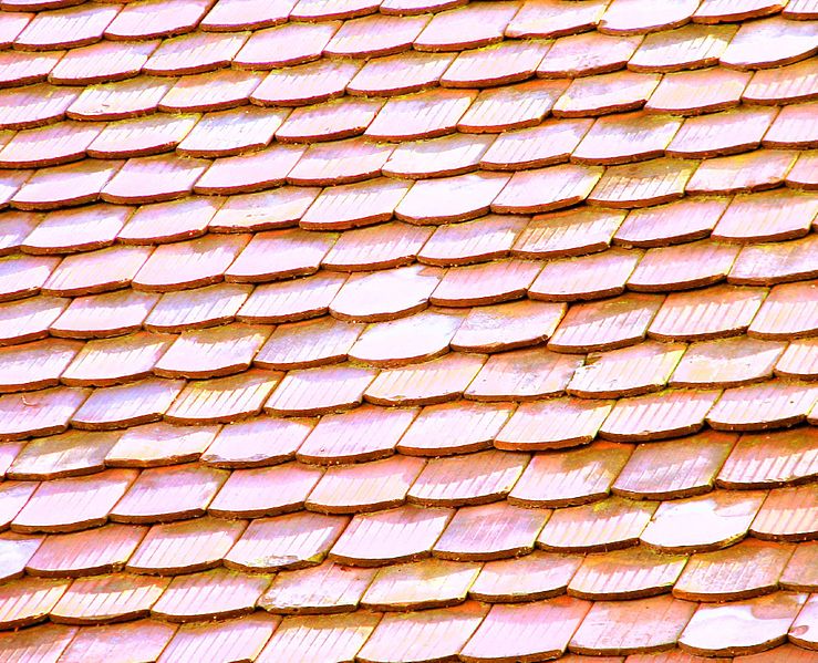 File:Folk Museum, Roof shingles 07 (2478351848).jpg