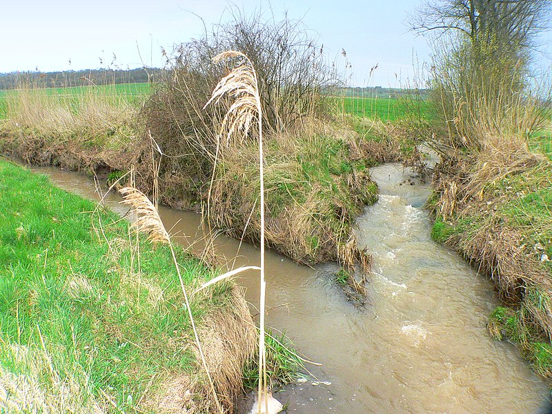 File:Fraenkische Saale Zusammenfluss.jpg