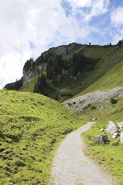 File:From Engstelnalp to Spycherflue , Switzerland - panoramio (7).jpg