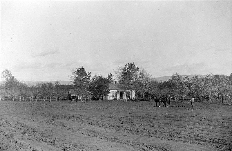 File:Fruit farm and vineyard, Walla Walla, Washington, 1890s.jpg