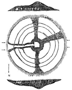 Zacharie Le Rouzic : plan du galgal de l'Île Longue (revue L'Anthropologie, 1933)