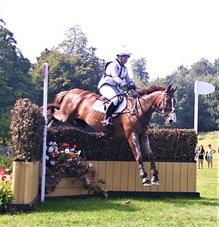 <span class="mw-page-title-main">Bicton Arena International 5*</span> Equestrian eventing competition in 2021