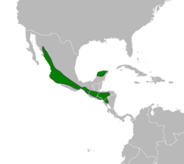 Distribución en verde.