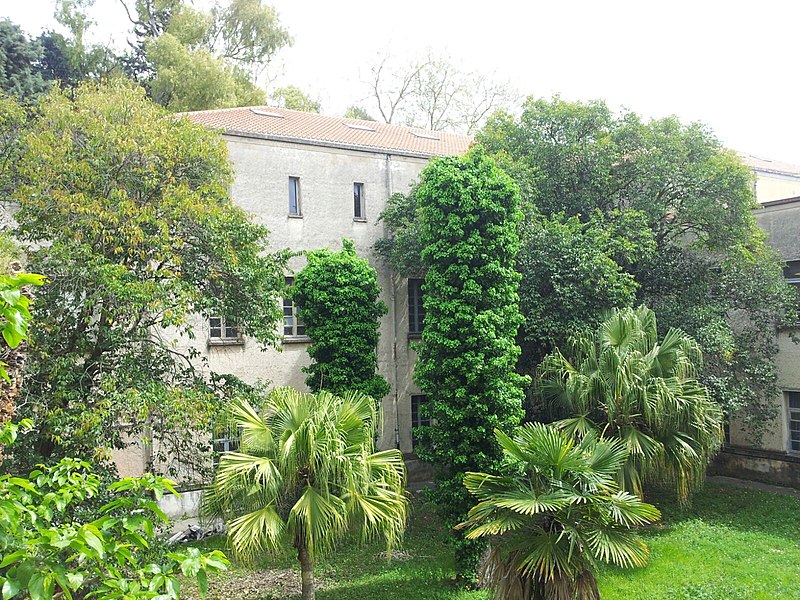 File:Giardino e chiesa ex Seminario Regionale Salerno.jpg