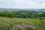 Госагыр веле (Покш Килейбуе) туртов вишка артовкс