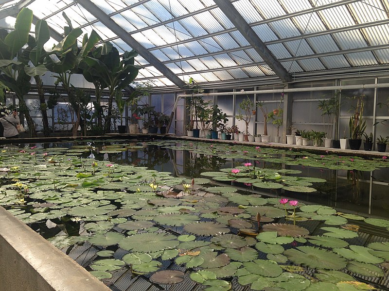 File:Greenhouse near Sea Hell Hot Spring 2.JPG