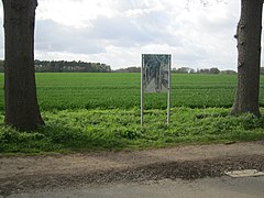 Zufahrtsallee; Bild 11 der „Kunsttour“ (Radroute durch das Artland) zwischen zwei Alleebäumen