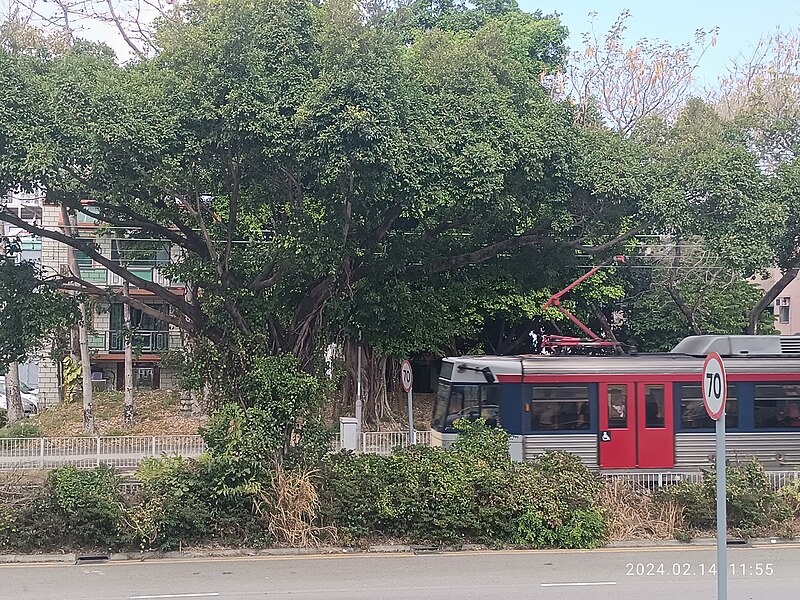 File:HK YLD 元朗 Yuen Long 屏山 Ping Shan 巴士 NLB bus B2 tour view 青山公路 Castle Peak Road February 2024 R12S 323.jpg