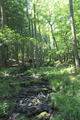 English: "Wannersbruch" Nature Reserve in "Naturpark Hoher Vogelsberg" near Geiselstein/Ellersberg in Lanzenhain, Herbstein, Hesse, Germany This is a picture of the protected area listed at WDPA under the ID 319289