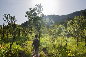 Hiking di Kyabobo Nasional Park.jpg