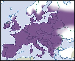 Мапа поширення виду в Європі