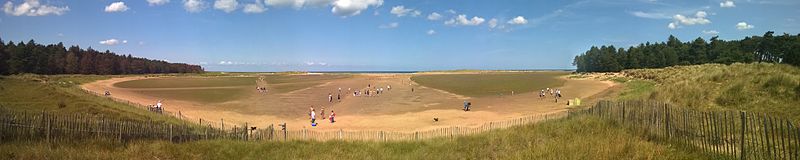 The beach entrance from the pinewoods