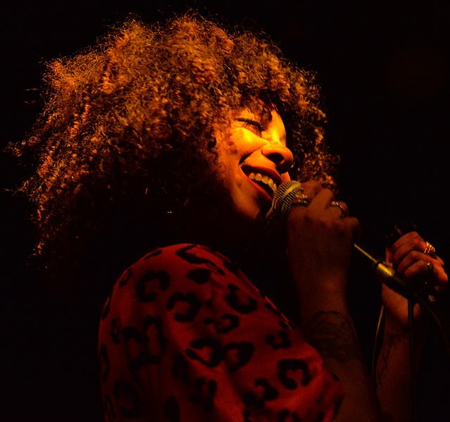 File:Hollie Cook in concert Brussels 20190124-1 (cropped).jpg