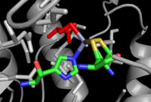 Homocysteine Binding Domain in Methionine Synthase. His 618, Cys 620, and Cys704 bind Zn(purple) which binds to Homocysteine(Red) Homocysteine Binding Site.png