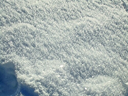 Ice crystals on frozen meadow