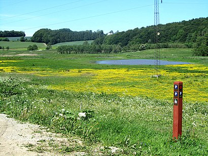 How to get to Illeruplund with public transit - About the place