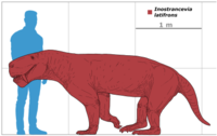 Tableau à l'échelle du plus grand spécimen d'I. latifrons comparé à un homme de 1,85 m de haut.