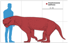 Scale chart, showing I. latifrons size compared to a human Inostrancevia latifrons scale.png