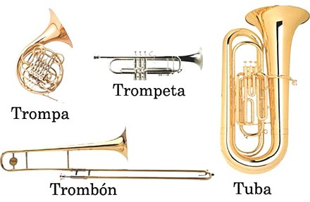 idioma cupón castigo Instrumento de viento - Wikiwand