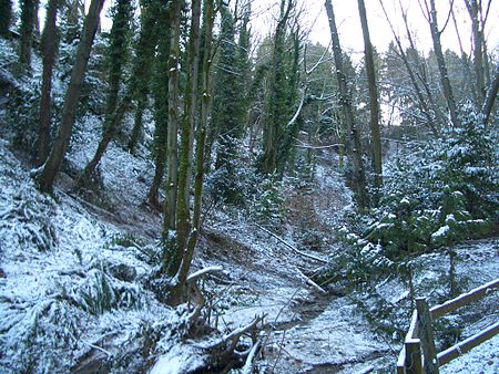 Interlaken Park snow 2897