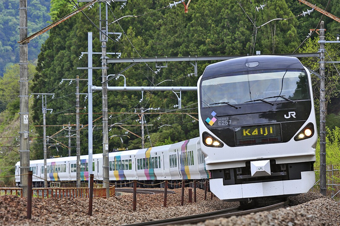 JR東日本E257系電聯車