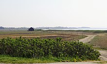 Jegindø - Wikipedia, den frie encyklopædi