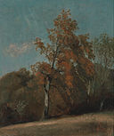 John Constable - Study of an Ash Tree - Google Art Project.jpg